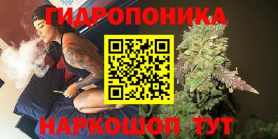 СК Кимры