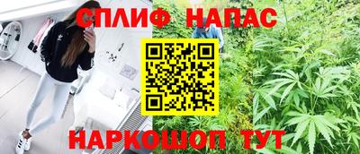 наркотики Кингисепп