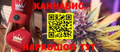 наркотики Кингисепп