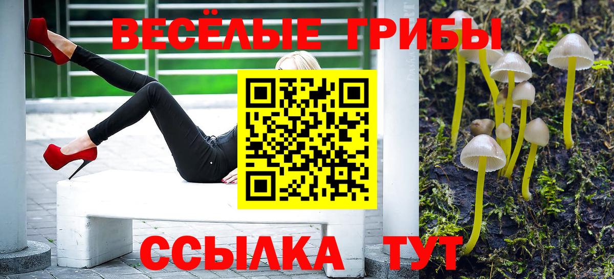 Галлюциногенные грибы ЛСД  Вход с VPN  Галлюциногенные грибы Cubensis  Лабинск 